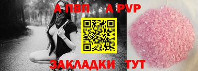 стаф Малгобек