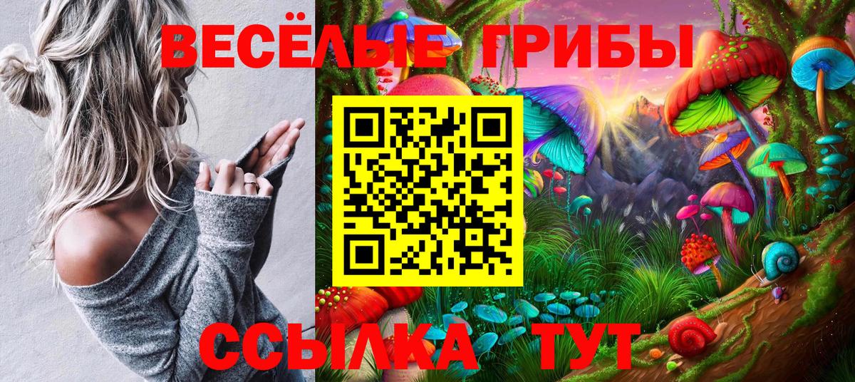 Галлюциногенные грибы Cubensis Губкинский