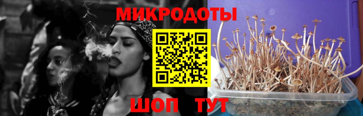 Псилоцибиновые грибы мицелий  Вход с VPN  где найти   Губкинский 